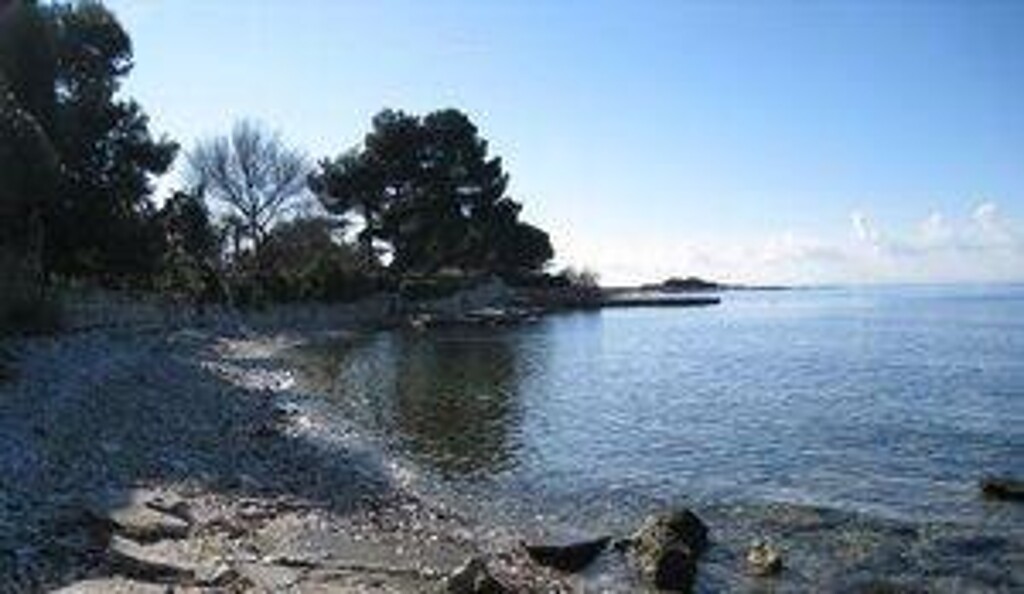 Image 3811522 - 11