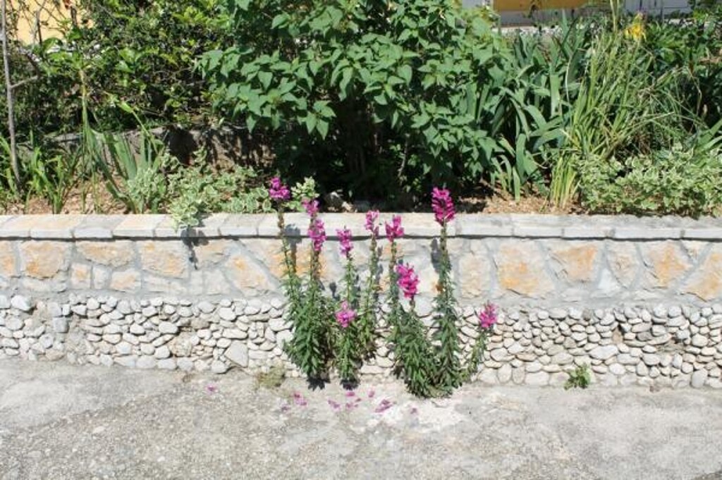 Image 3838903 - 9