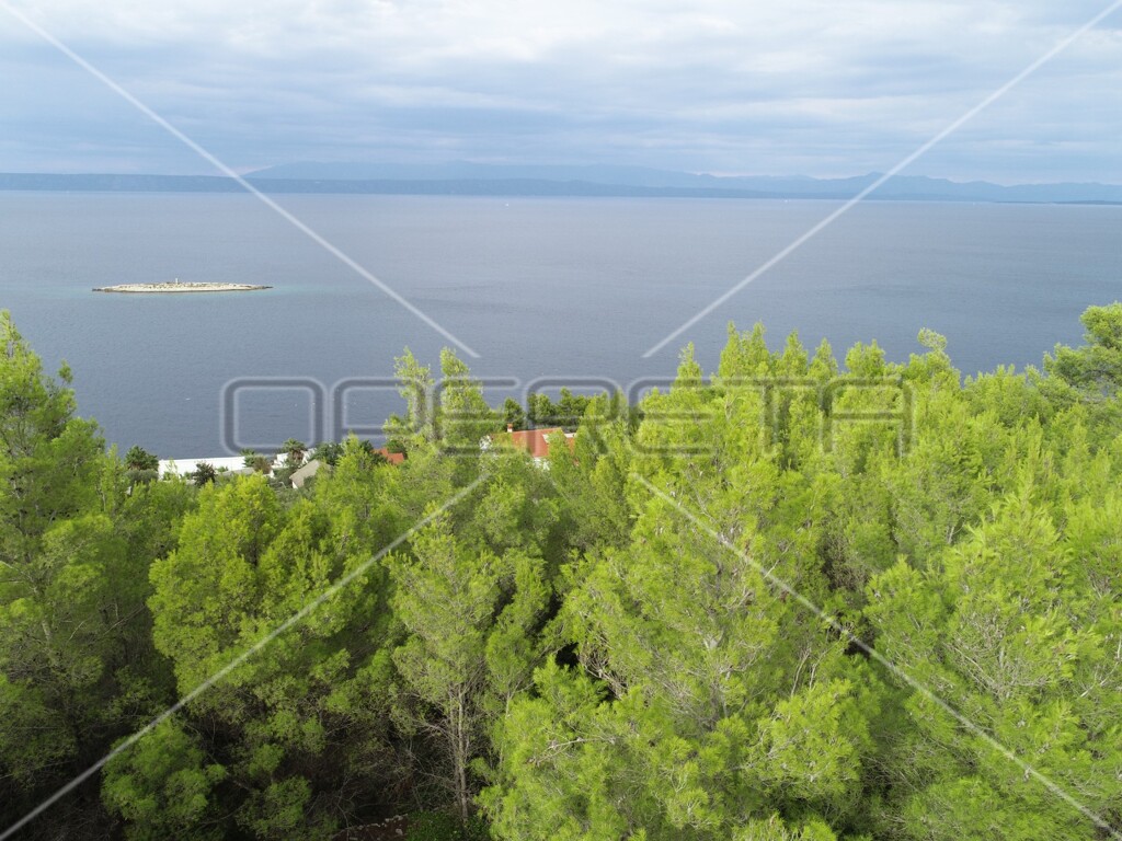 Image 22