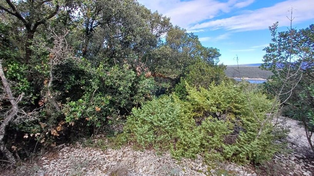 Image 9