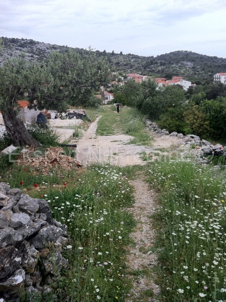 Image 3667477 - 3
