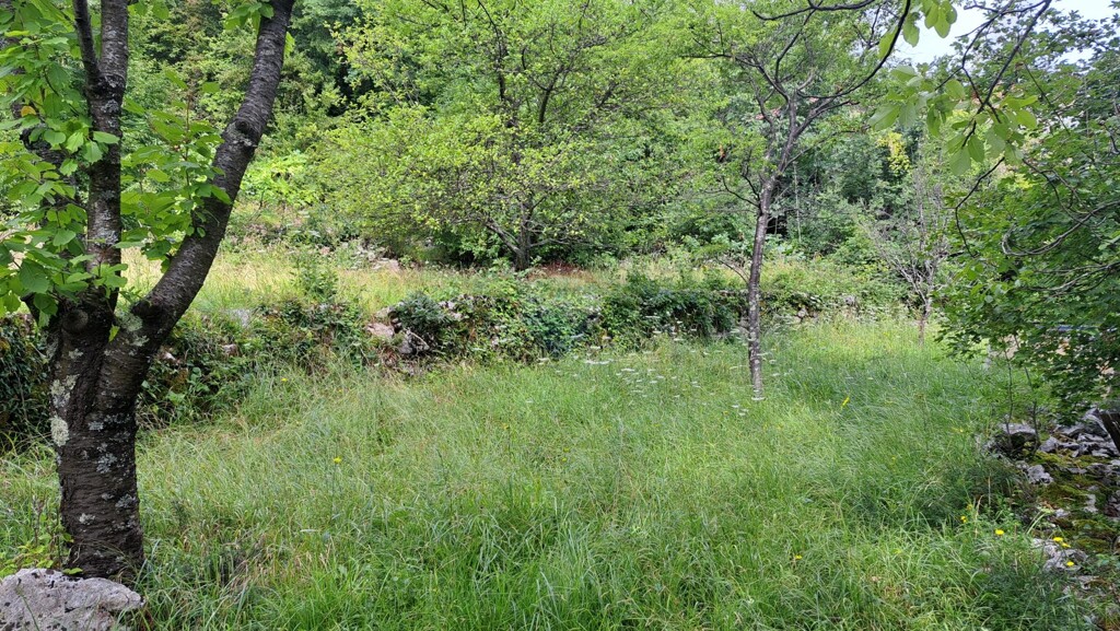 Image 5429440 - 7