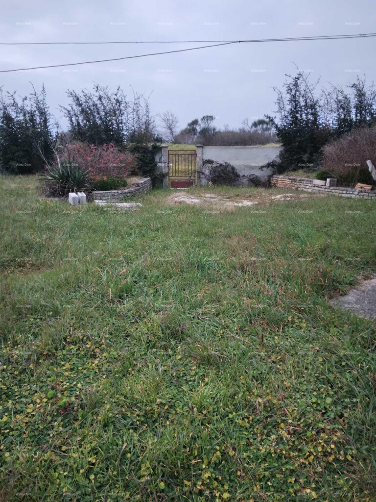 Image 16