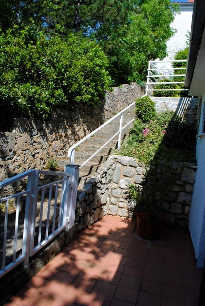 Image 13