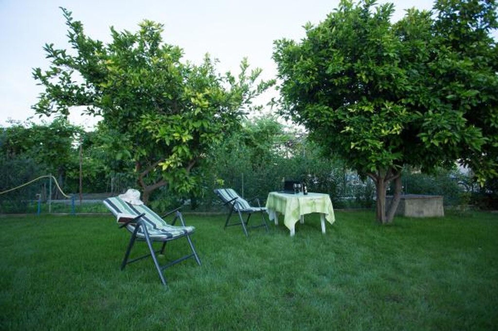 Image 3814928 - 8