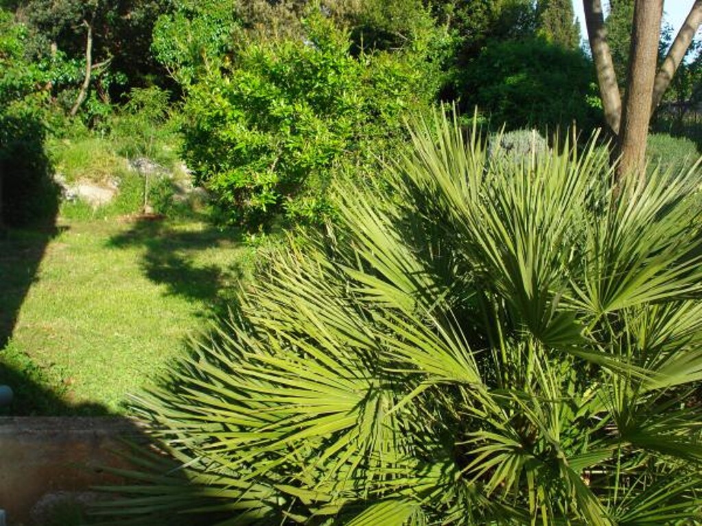 Image 3838866 - 4