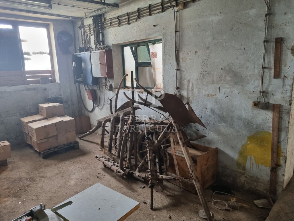 Image 10