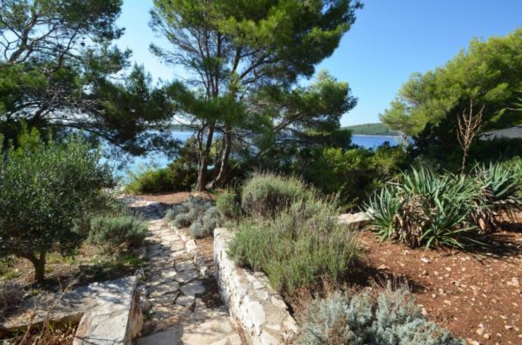 Image 3838950 - 9