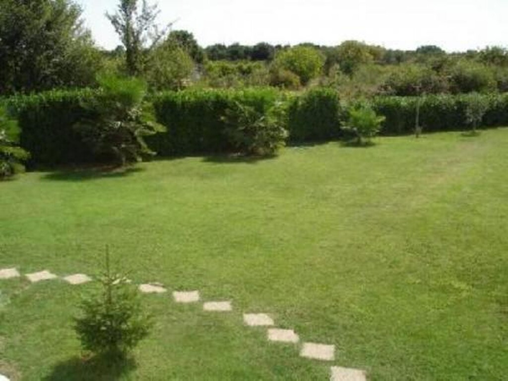 Image 3812691 - 2