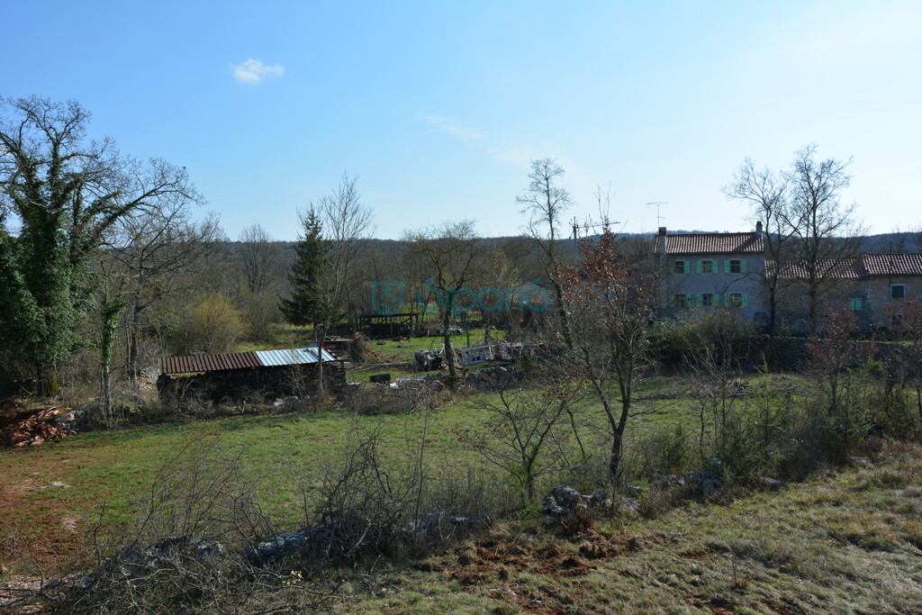 Image 12