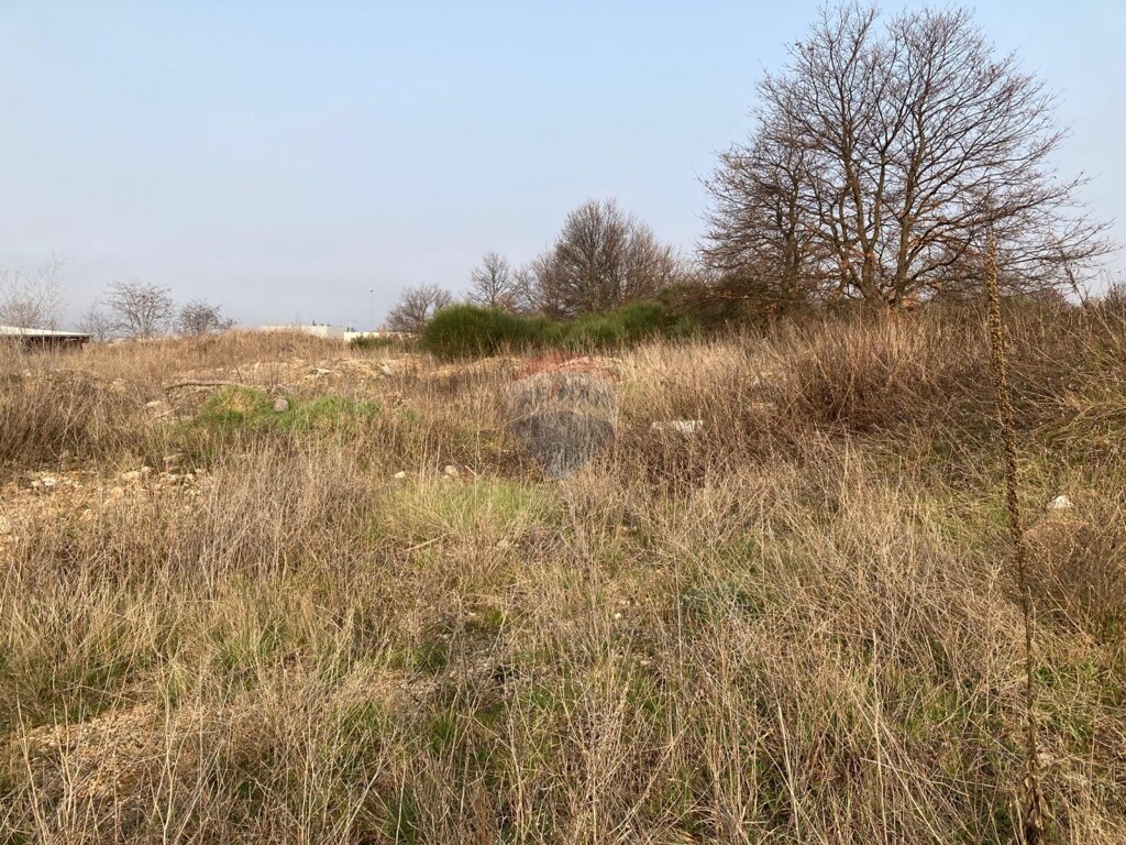 Image 5436970 - 1