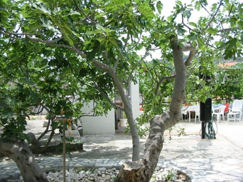 Image 3810961 - 28