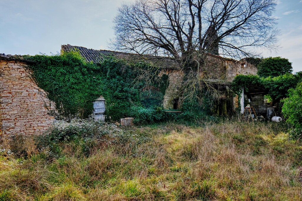 Image 10