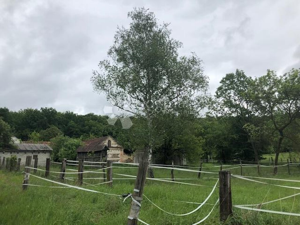 Image 16