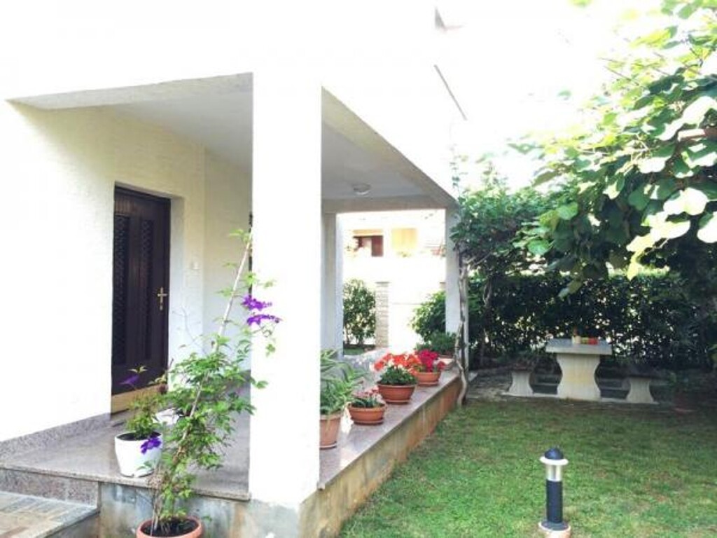Image 3810723 - 7