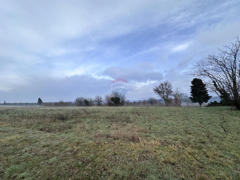 Image 5428921 - 3