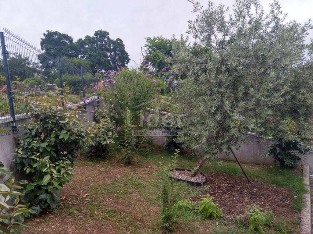 Image 14