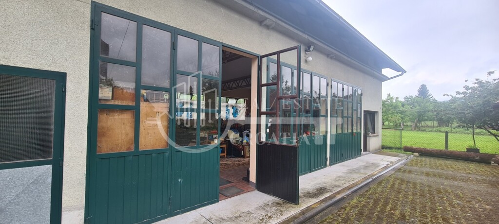 Image 10