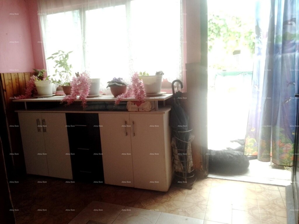 Image 13