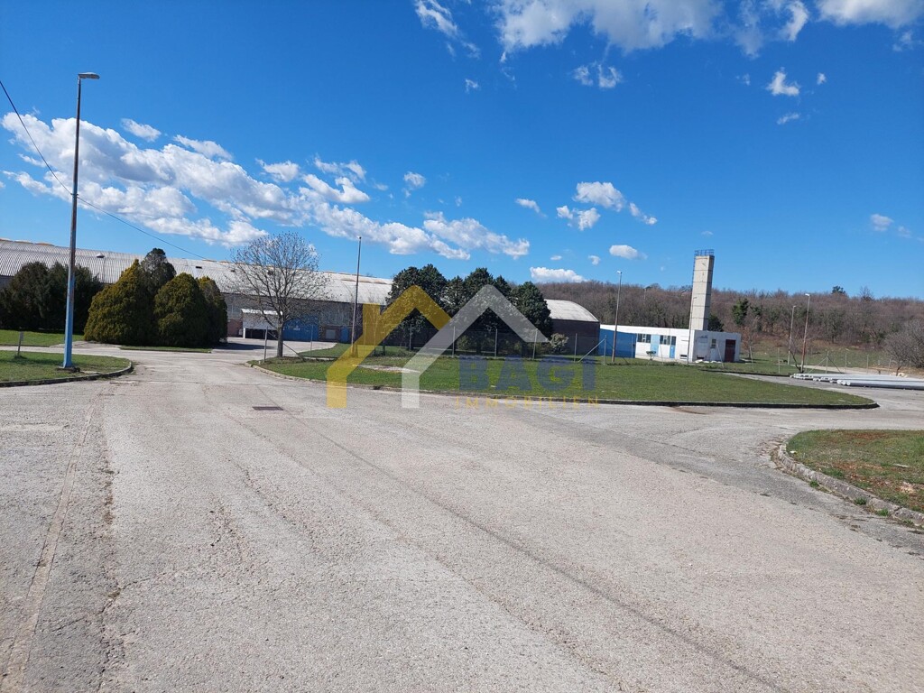 Image 6