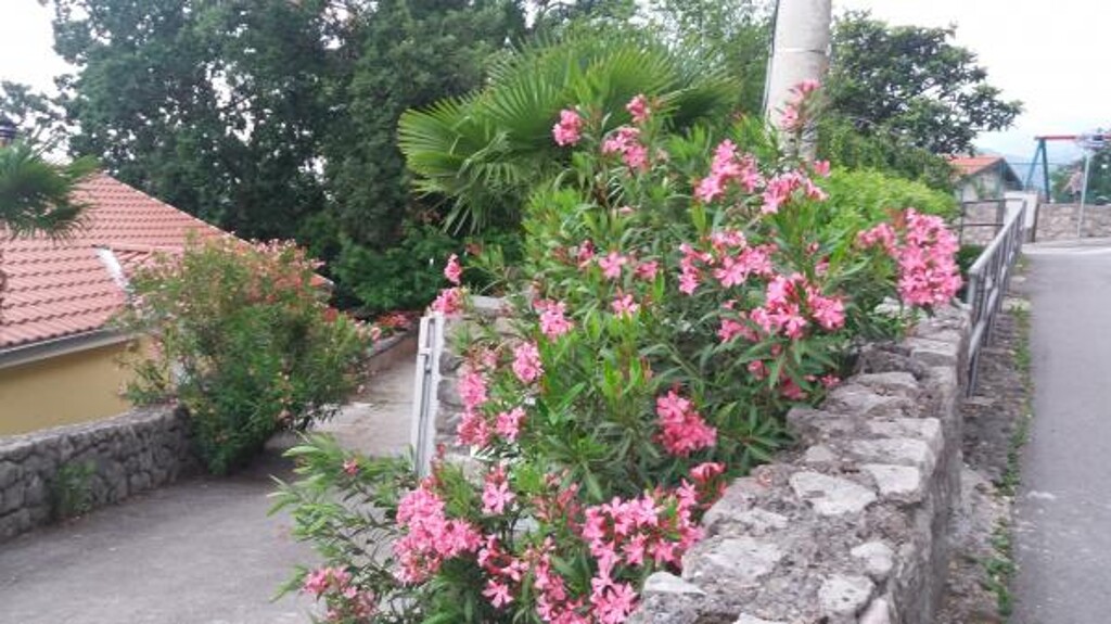Image 3813494 - 7