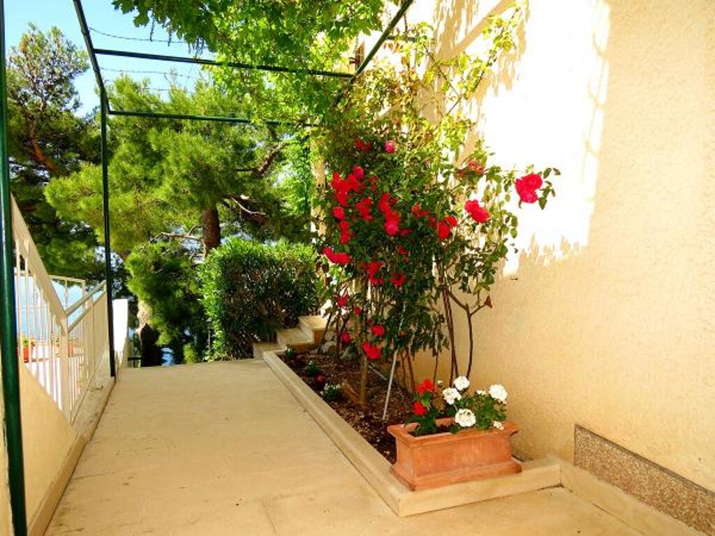 Image 3813546 - 6