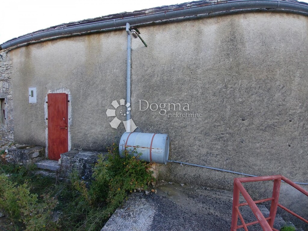 Image 14