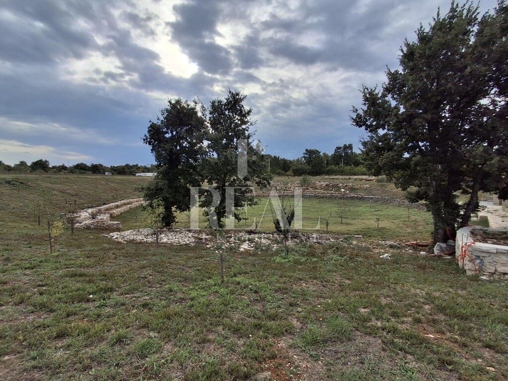 Image 13