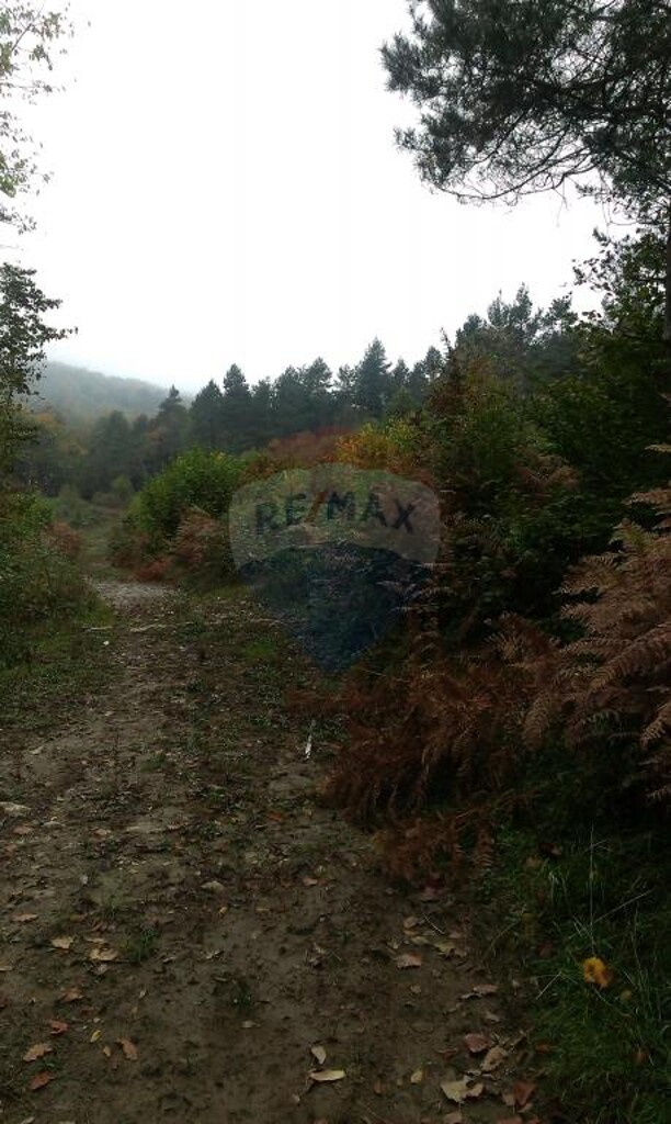 Image 5410802 - 2