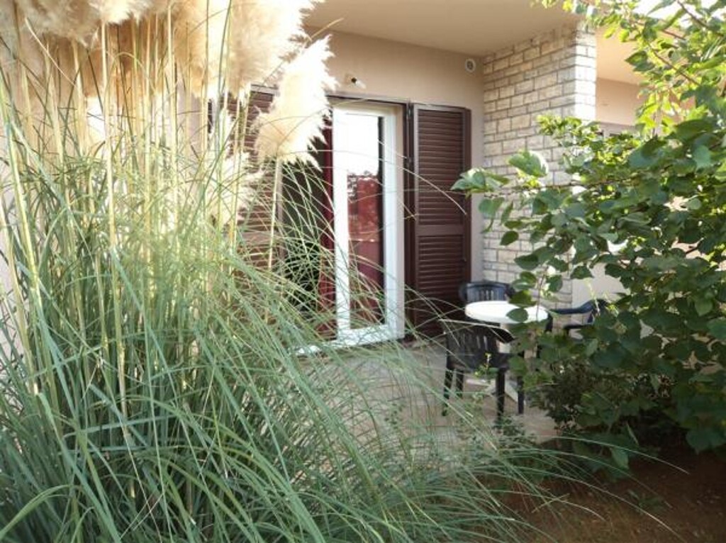 Image 3838536 - 7