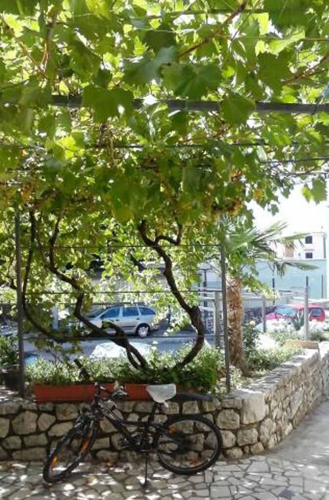 Image 3838524 - 20