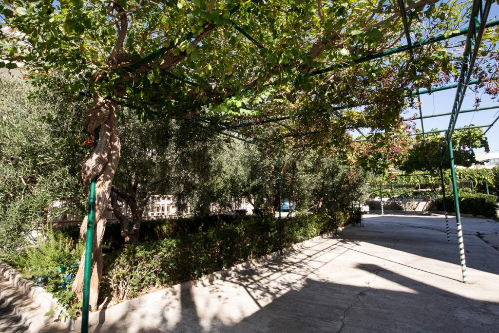 Image 3811734 - 6