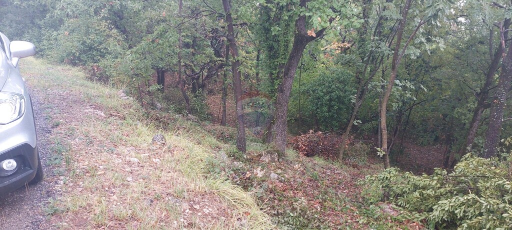 Image 5424857 - 1