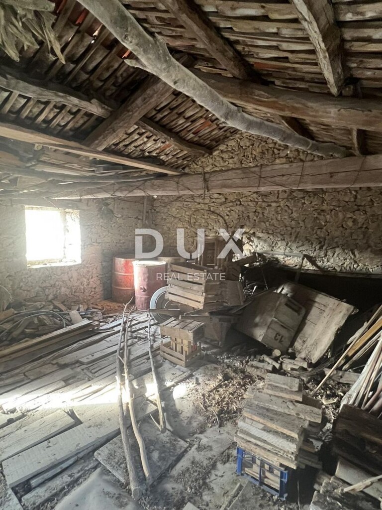 Image 25