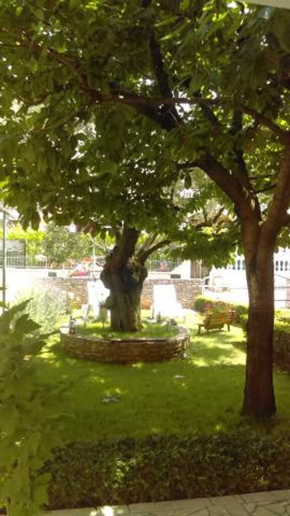 Image 3810893 - 25