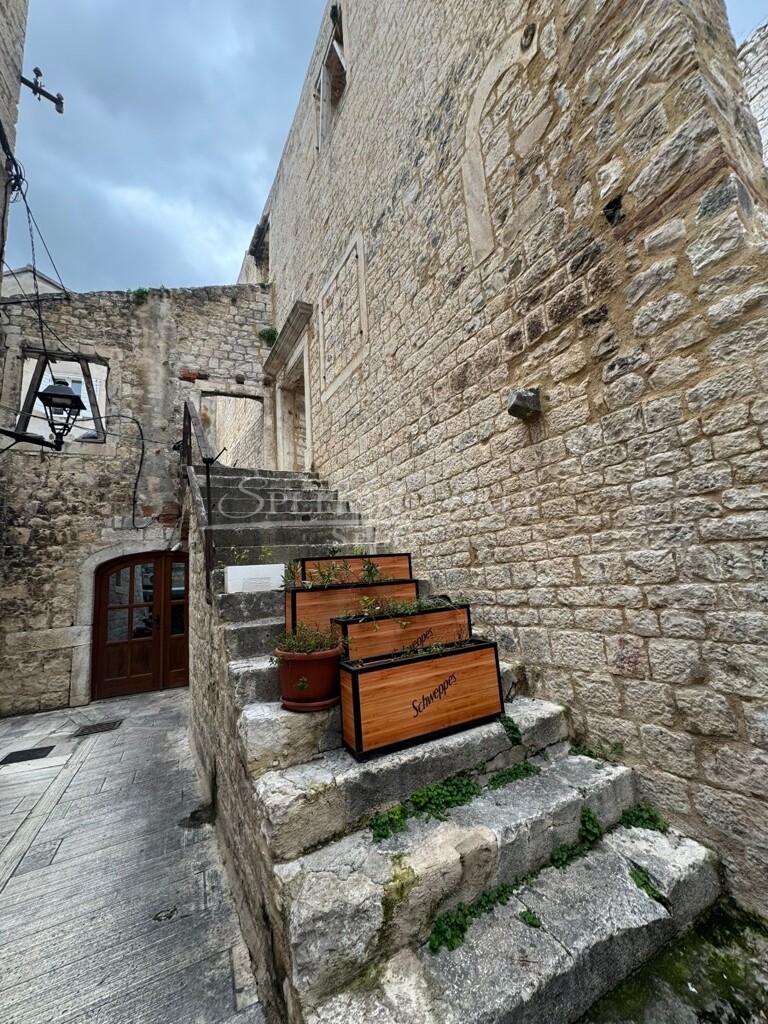 Image 6221088 - 4
