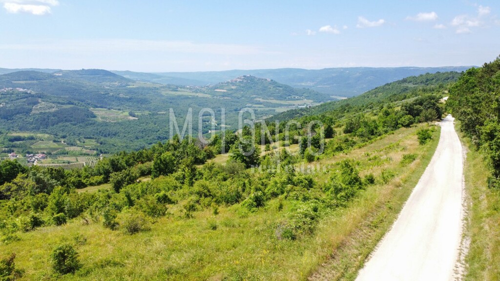 Image 6332021 - 1