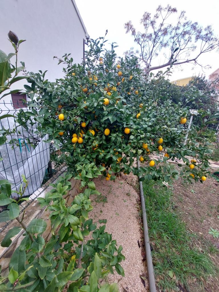 Image 3813760 - 10