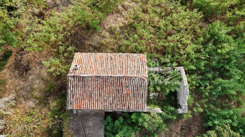 Image 6094516 - 11