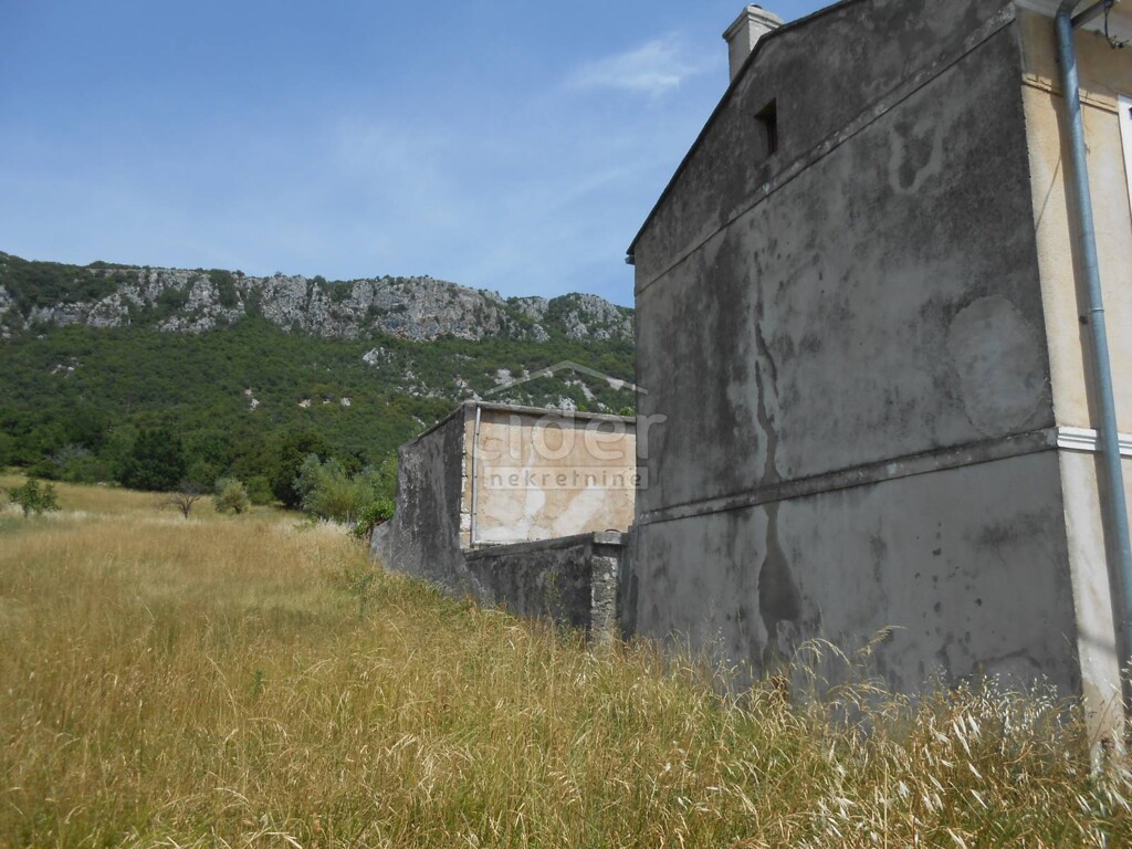 Image 5383974 - 1