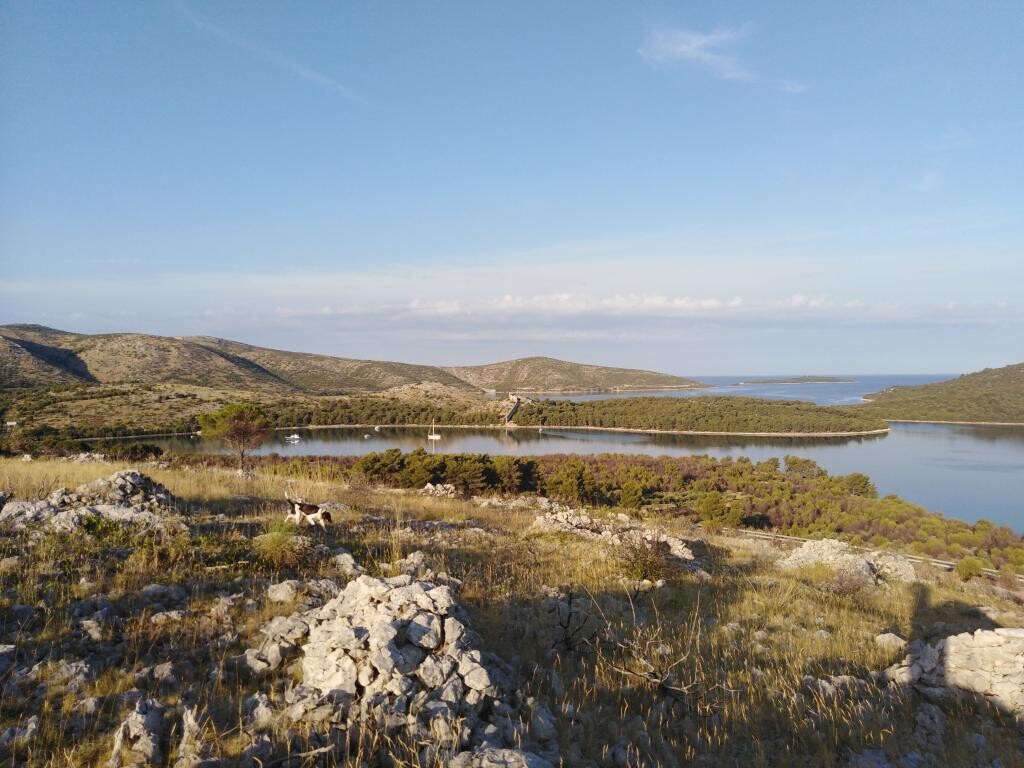 Image 3811060 - 19