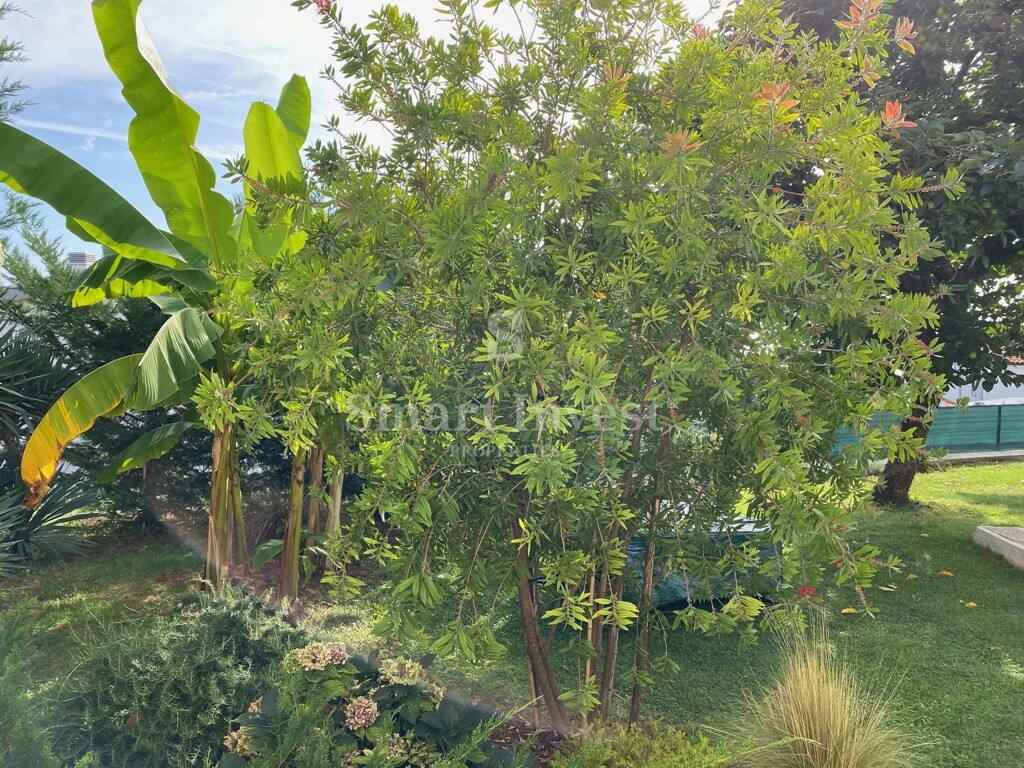 Image 14