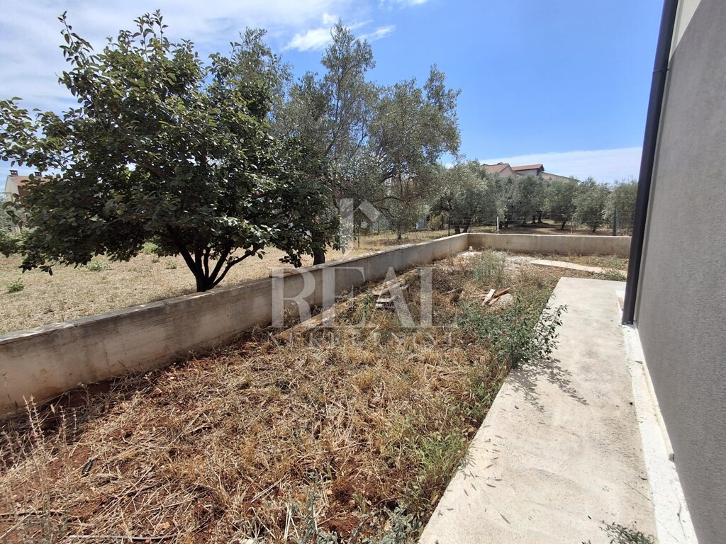 Image 13
