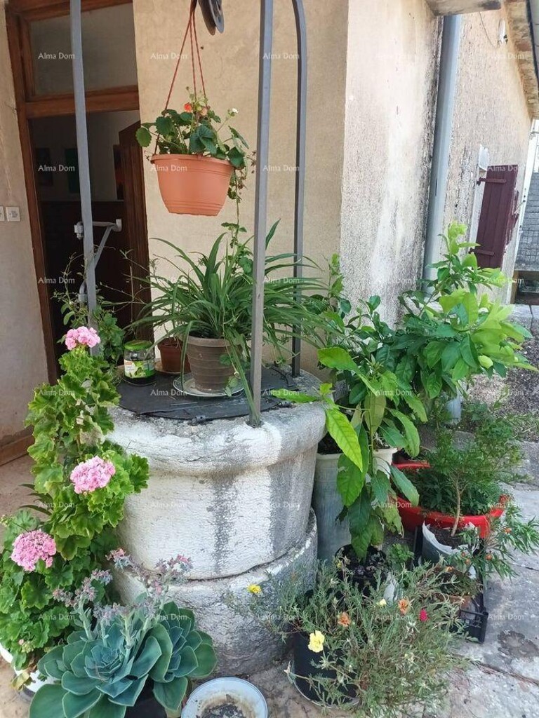 Image 18