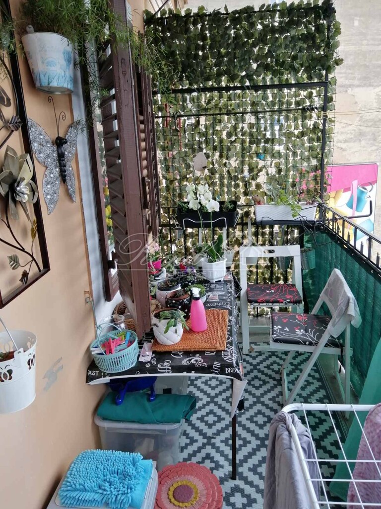 Image 15