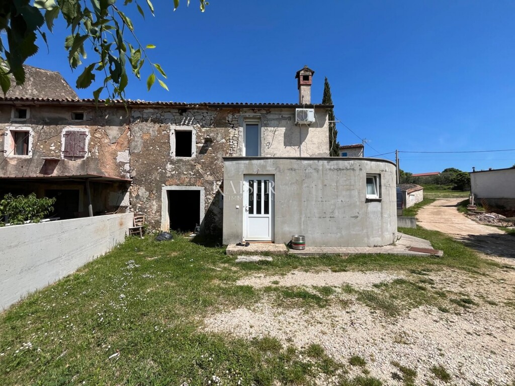 Image 12