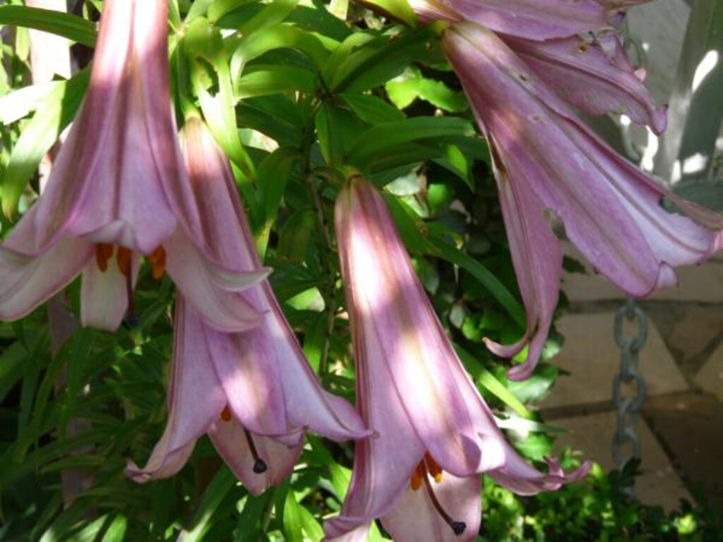 Image 3813885 - 6