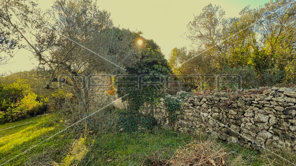 Image 6158224 - 6
