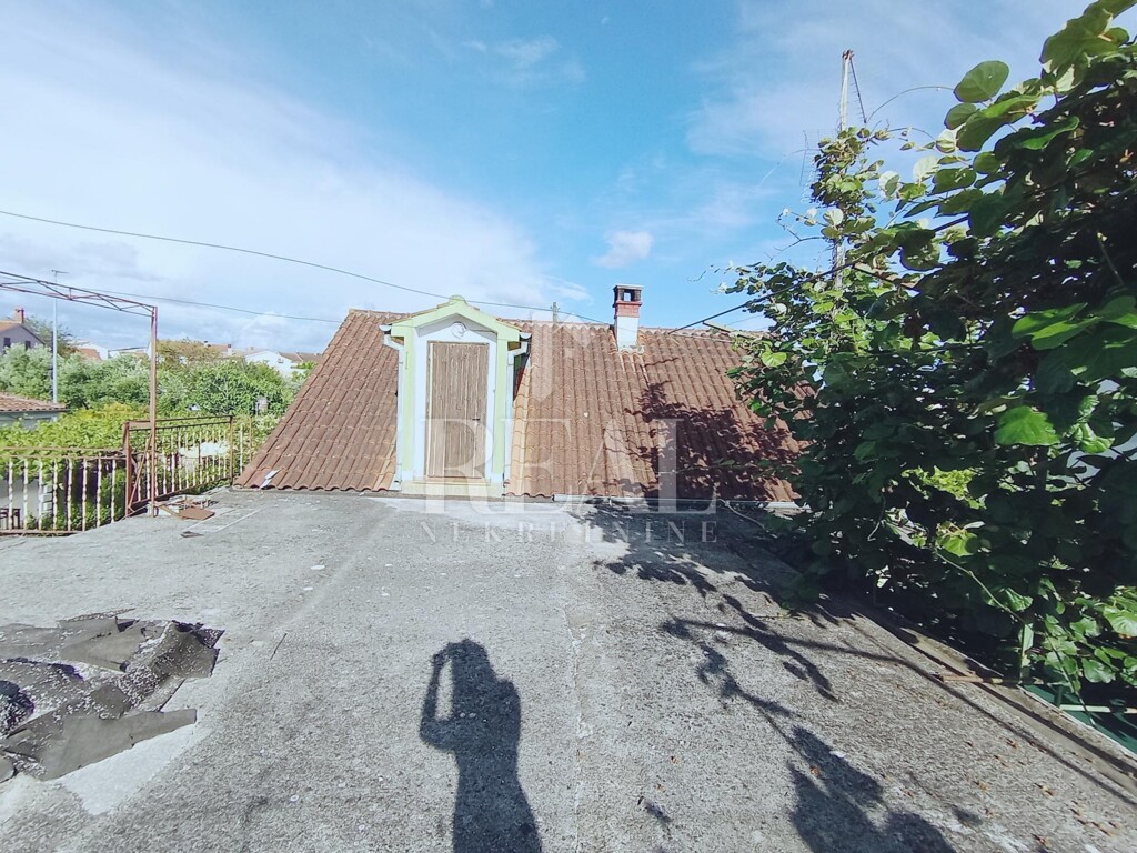Image 13
