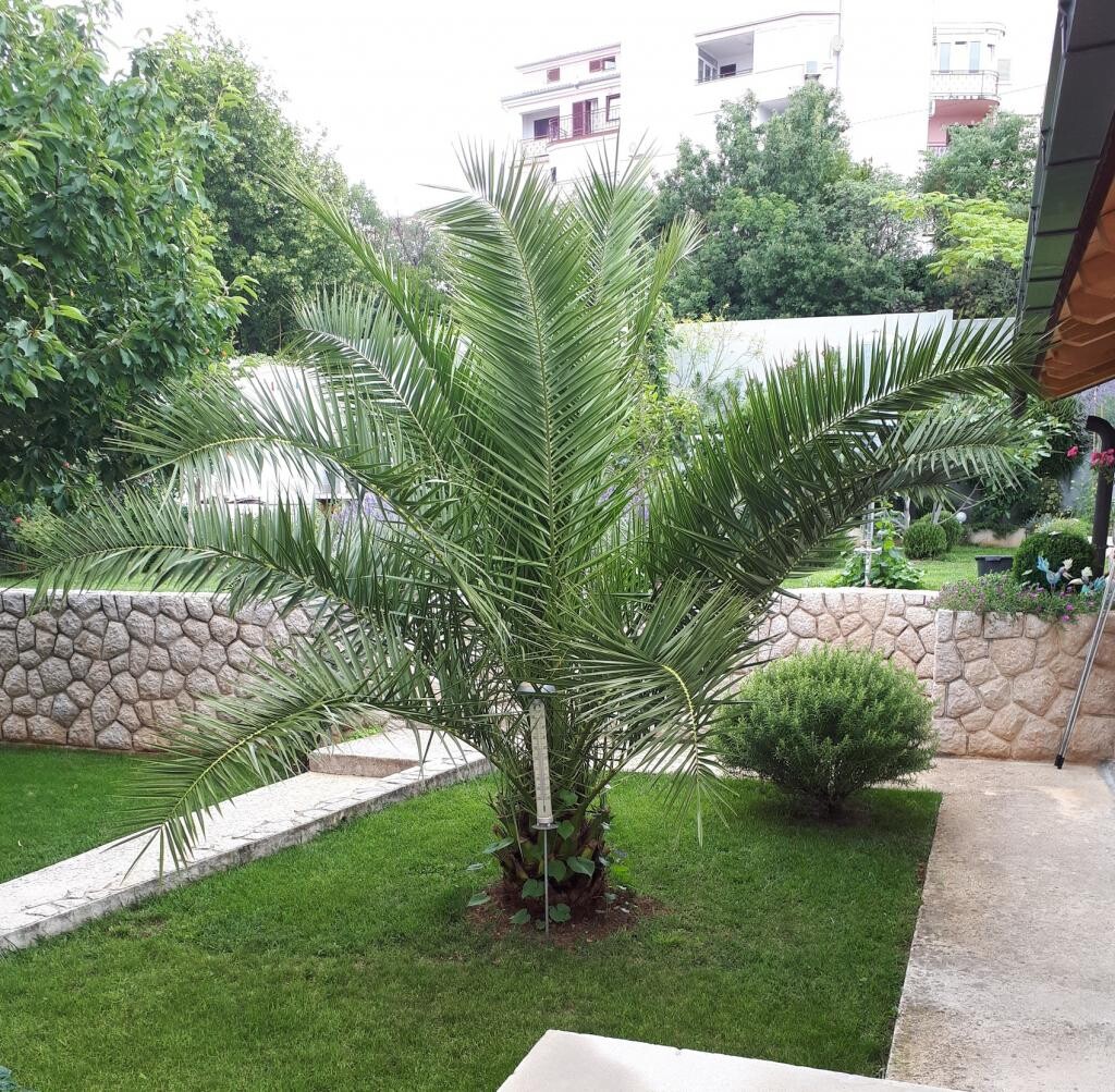 Image 3811218 - 6